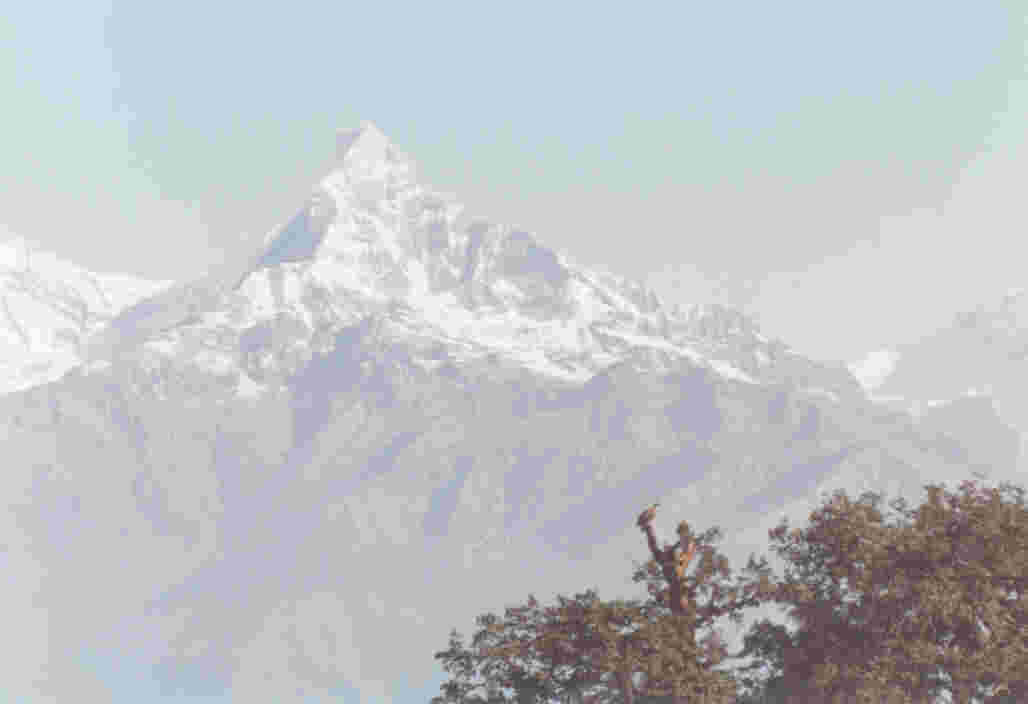 Machhapuchhare