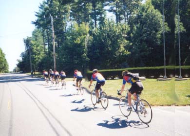 The ferocious peleton.