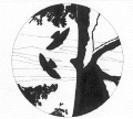 parksmall.gif (5265 bytes)