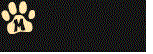 Go back to the Bollywood Hangama Main Page