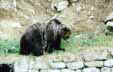Tras el bao