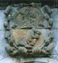 cornellana