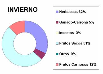 invierno