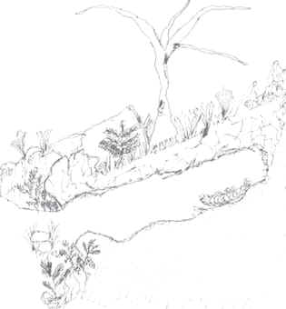 osera