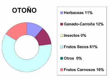 otoo