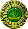 Shamrocks Annual Players' Medal
