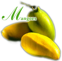 mangoes