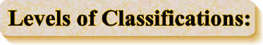 Levels1.JPG (71857 bytes)