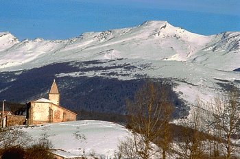 altocampoo1.jpg - 26 kb