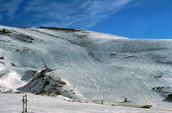 altocampoo3.jpg - 25 kb