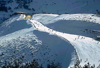 lapinilla2.jpg - 28 kb