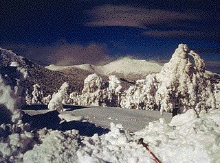 navacerrada3.jpg - 33 kb