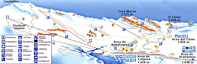 altocampoo.jpg - 54 kb