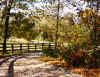 Miller.driveway