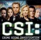 csi.jpg (6209 bytes)