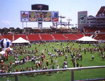 FanFest