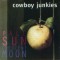 Cowboy Junkies - Pale Sun Crescent Moon