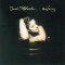 Sarah McLachlan - Surfacing