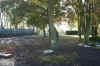 carparkright.jpg (80779 bytes)