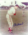 musial.jpg (17317 bytes)