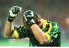 taffarel.jpg (42945 bytes)
