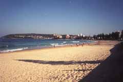 Manly Beach