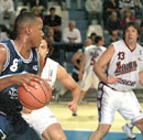 lobo