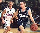lobo