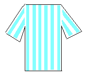 primer camiseta, celeste y blanca