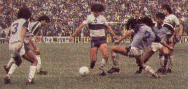 El LOBO del BOSQUE