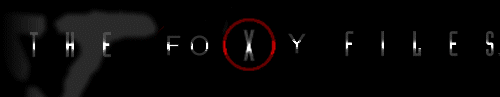 tHe FoXy FiLeS