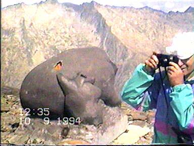 Los osos ya han desaparecido