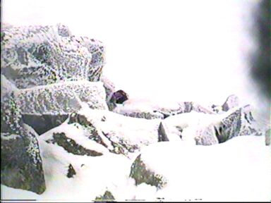 No esper&aacute;bamos tanta nieve