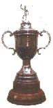 Copa de la B