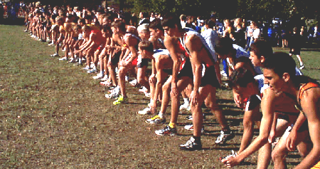 98marc2.gif (96085 bytes)