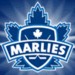 Official Website