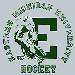 Team Website