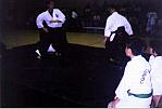 stick defense 2