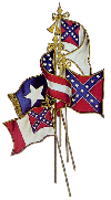 CSA_flags.gif (8749 bytes)
