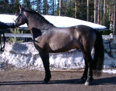  kuvan  Anna Johansson - uns_blond@hotmail.com 