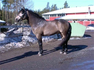  kuvan  Anna Johansson - uns_blond@hotmail.com 