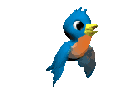 Picture of Bird