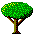 Picture of Tree