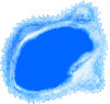One fish swimming