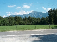 Primavera