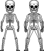 Male Skeleton -- fits within Male Byrne template