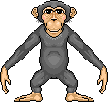 Basic Chimp