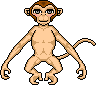 Hairless Monkey