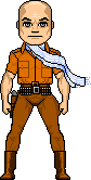 The Bald Eagle (Hillman) [a]