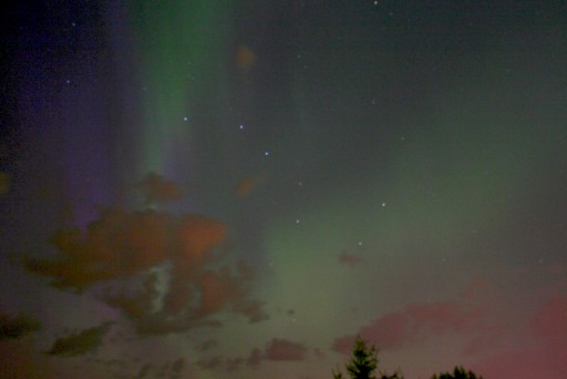 Auroras